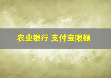 农业银行 支付宝限额